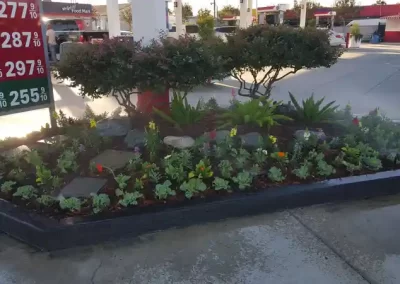 Reliable Landscape Services