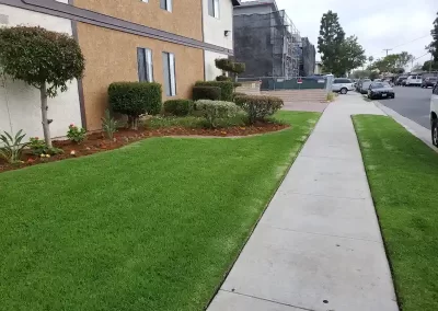 Efficient Landscaper