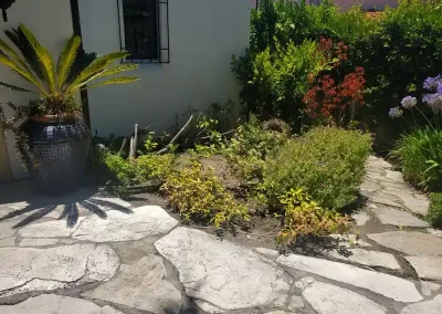 Professional Landscaping Services