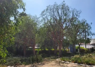 Efficient Landscaping Services