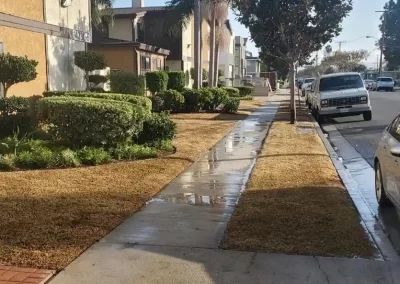 Reliable Landscaping Services