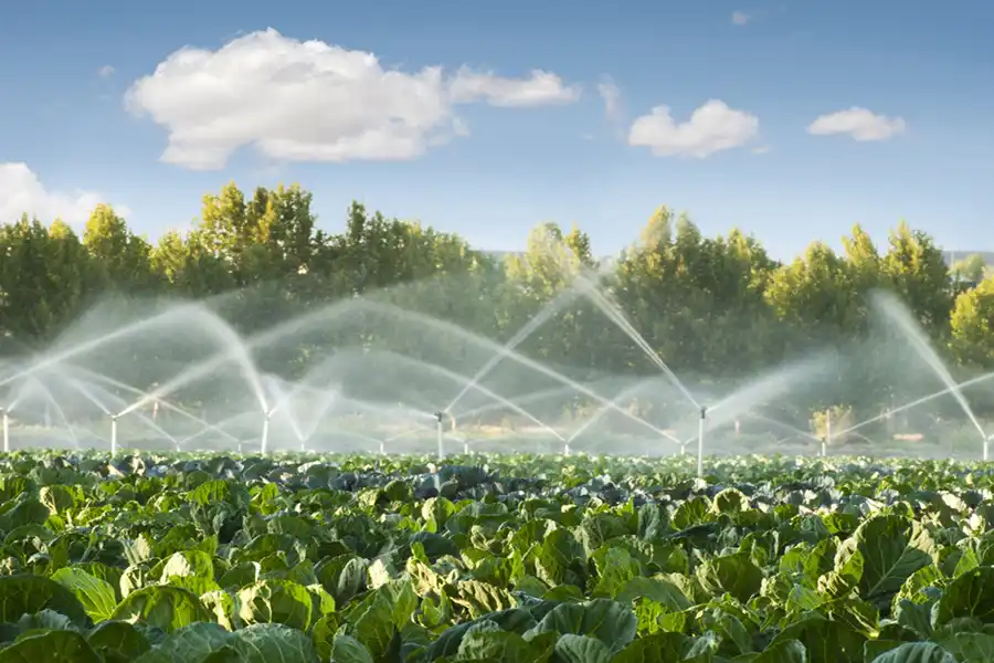 How to Install an Irrigation System in Harbor City, CA