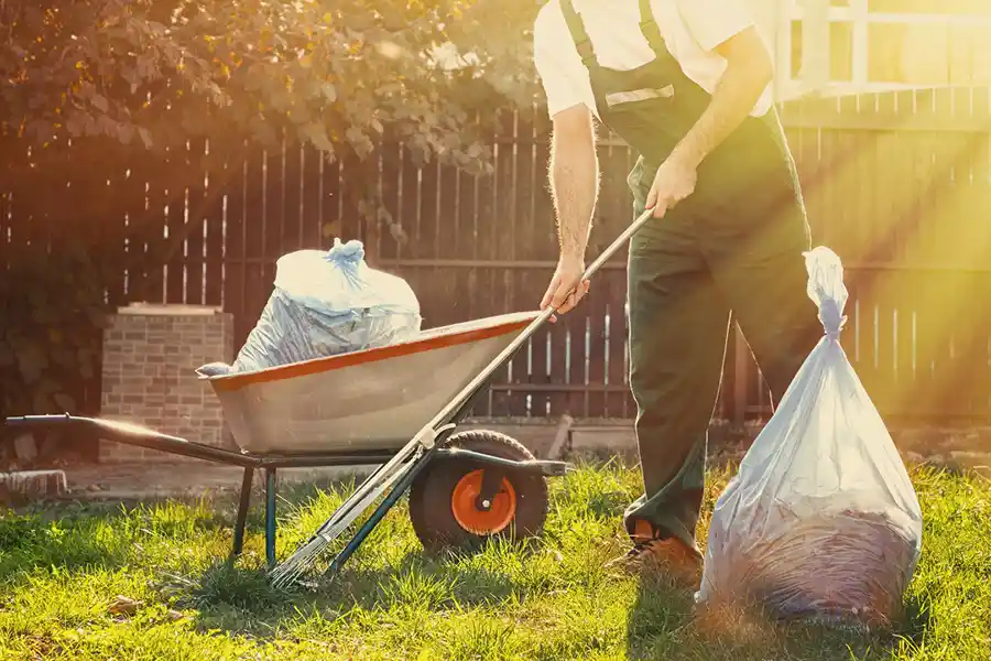 Low Maintenance Lawn Ideas in Harbor City, CA