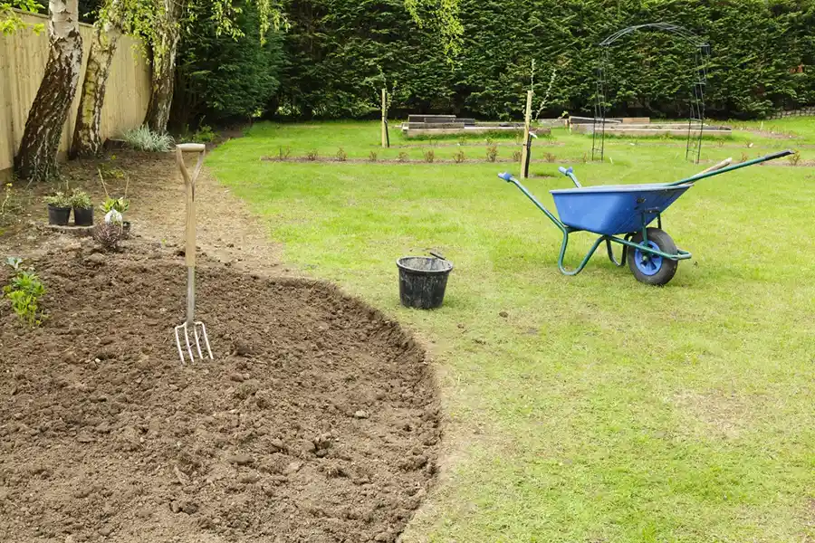 Low Maintenance Lawn Ideas Harbor City, CA