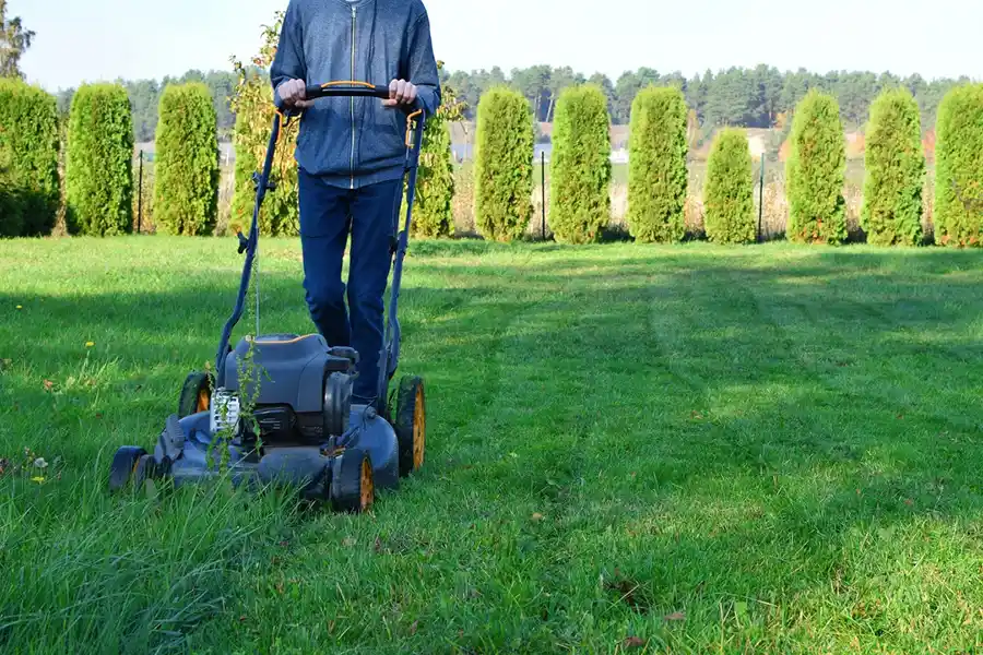 What Is Landscape Maintenance in Harbor City, CA