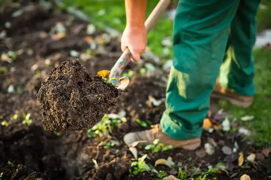 What Is Landscape Maintenance Harbor City, CA
