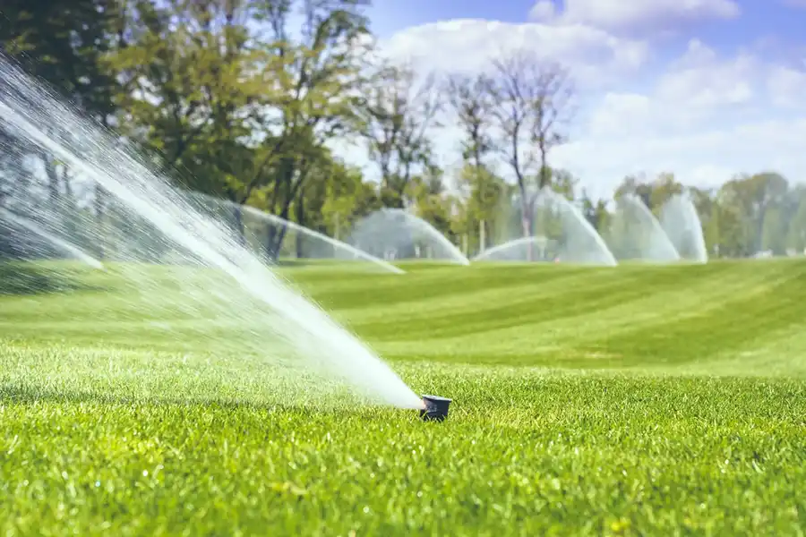 Efficient Irrigation System Installation in Harbor City, CA