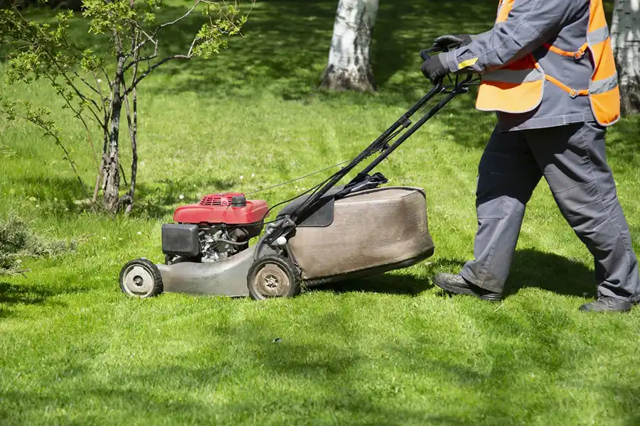 Professional Landscape Maintenance in Harbor City, CA Reliable Landscape Maintenance in Harbor City, CA