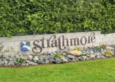 Affordable Landscape Maintenance