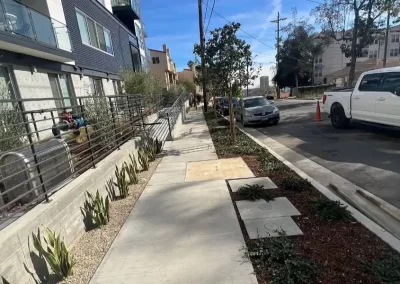Dependable Hardscaping Services
