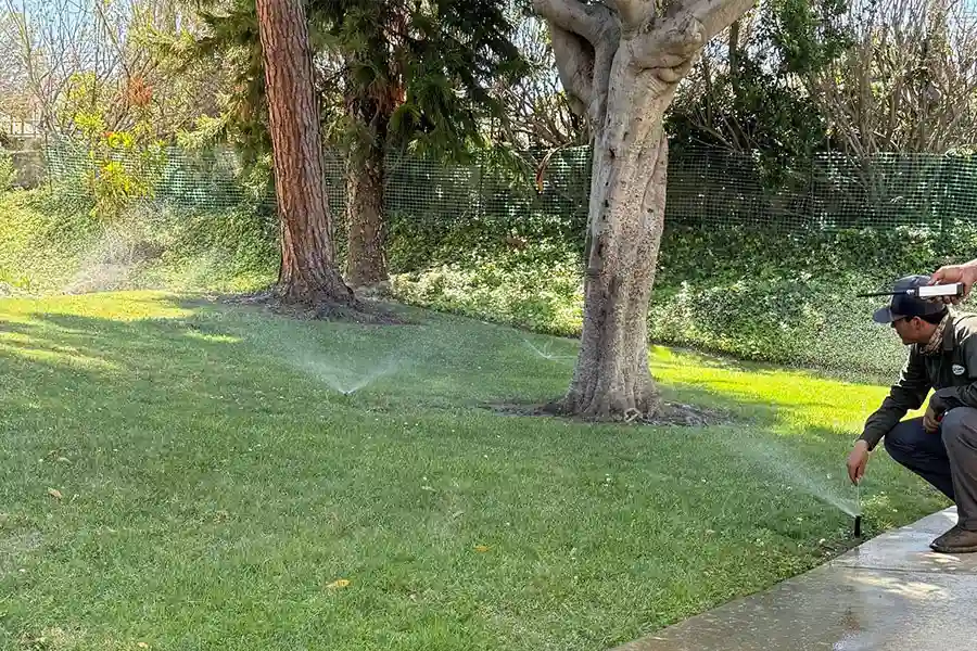 Irrigation System Installation